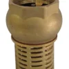 Itap 1 Inch Check Foot Valve Female Suction Non Return Valve For Pumps Brass