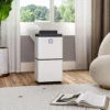 Livingandhome WiFi 12L Dehumidifier With Wheels